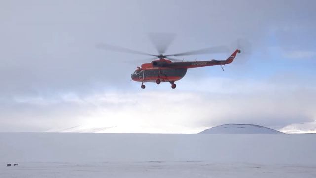 Охота на медведя и снежного барана в Магадане, Россия с Кулу Сафарис смотреть онлайн
