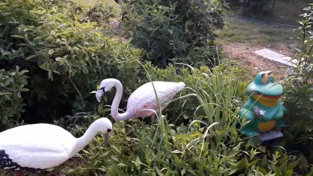 Что такое счастье. 1 ч. смотреть онлайн