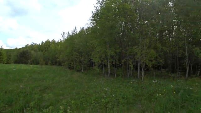 Поход в лес. Лето, соловьи, жара 5 июня 2022. смотреть онлайн