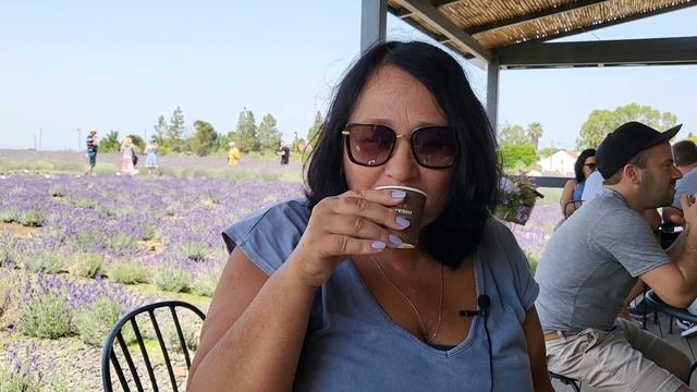 МОРЕ ЛАВАНДЫ. Винодельня и буренки. Север Израиля смотреть онлайн