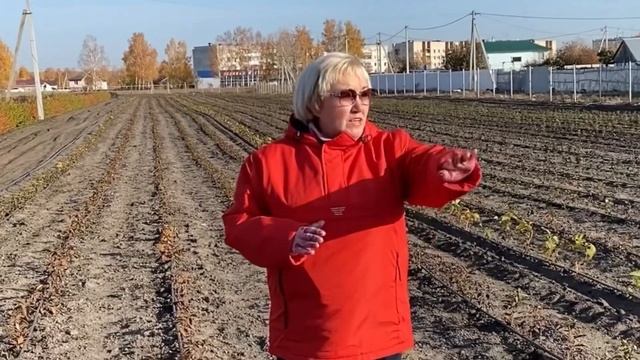 ПРАВИЛА ПОСАДКИ ГОРТЕНЗИИ ОКС ⬇️⬇️⬇️ смотреть онлайн