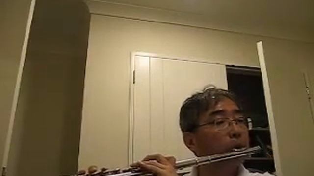 Donizetti - Una Furtiva Lagrima from L'Elisir d'amore [Flute by Won Shik Paik] смотреть онлайн