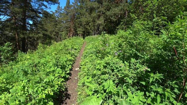 Андроновские горы. Пермь. 13 июня 2022 1ч. смотреть онлайн