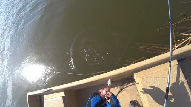 ВОБЛУ ЛОВИМ СОЛИМ и ЕДИМ Бесконечный клев ВОБЛЫ Ловля по Астрахански смотреть онлайн