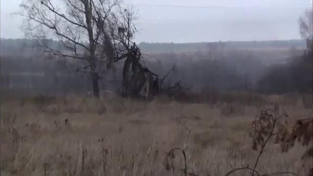 Городище XII века.f4v смотреть онлайн