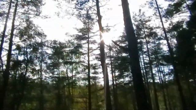 озеро Оленье, сентябрь 2009 смотреть онлайн