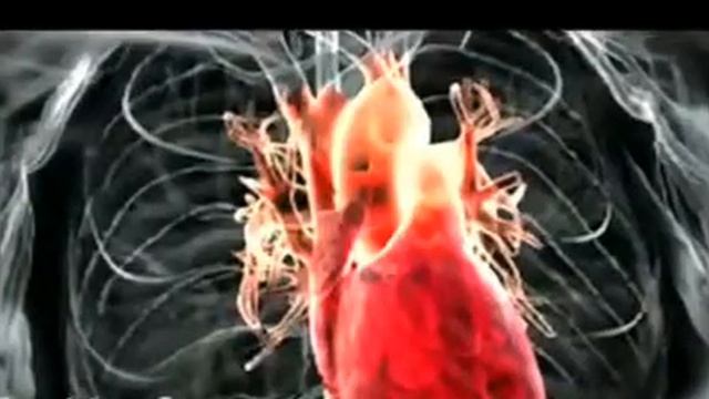 МОЩНАЯ СИЛА , ПРОДУКЦИИ ГЛОБАЛ ТРЕНД ! +77016259185 тел для справок, звоните, узнавайте! смотреть онлайн