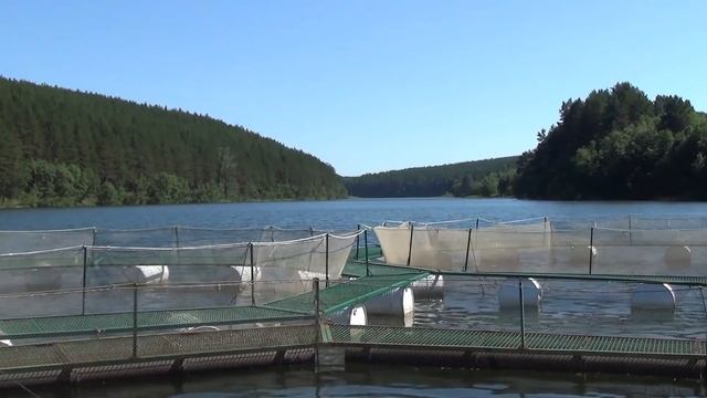 Урал Михайловск Необычная плотина и речная форель смотреть онлайн