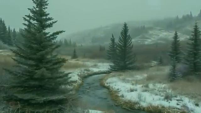 Деревенский жених увидел в доме богатой невесты портрет на стене и побледнел. А уже через неделю... смотреть онлайн