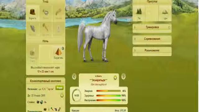 Обзор моих лошадей в лоwади смотреть онлайн