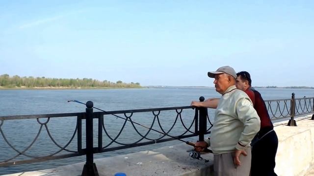 Рыбалка на Волге.Где и как ловить на Комсомольской набережной. смотреть онлайн
