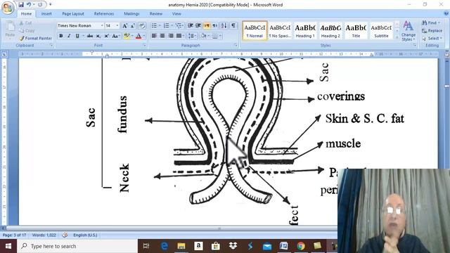 Anatomy GIT module in English 2020 ( Principles of hernia) , by Dr. Wahdan смотреть онлайн