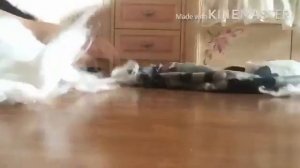 How to make a hobby horse/делаем хобби хорса ?