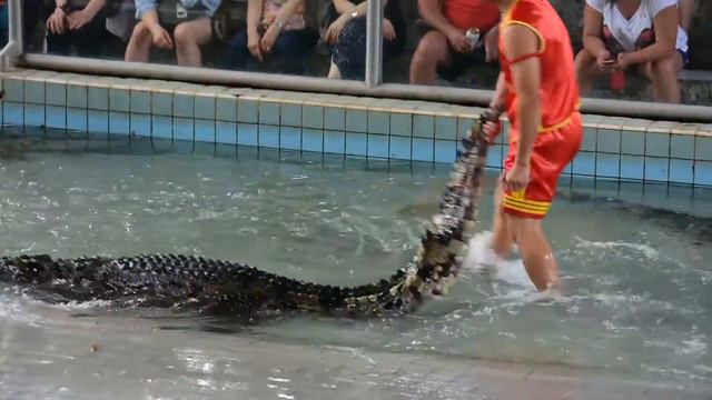 Ферма крокодилов и шоу смотреть онлайн