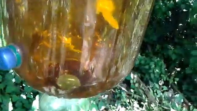 Бутылочный улей Супер Джинн на дереве. смотреть онлайн