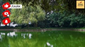 Рассказ мужчины | Измена жены. Жестокие разборки. Красивая месть мужа. Реальная история