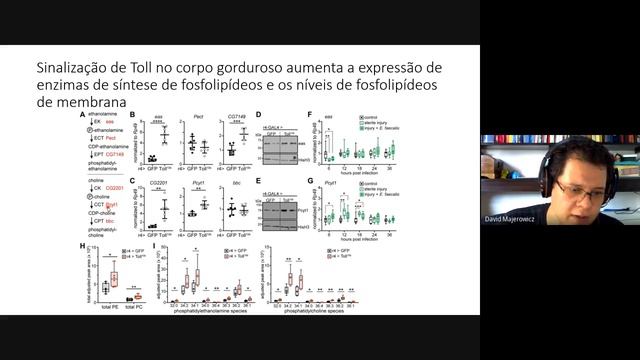 Martínez et al. 2020: Innate immune signaling in Drosophila shifts anabolic lipid metabolism... смотреть онлайн