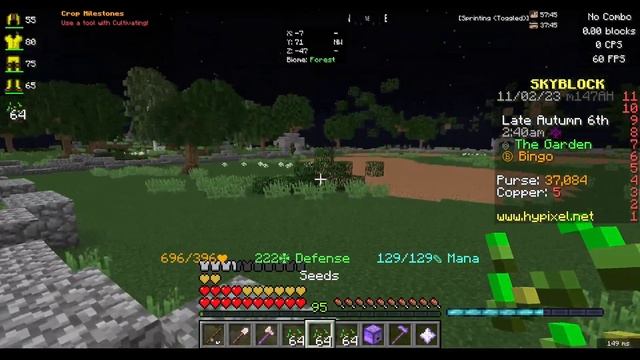 How To Bingo I November Edition #2 (Hypixel Skyblock) смотреть онлайн