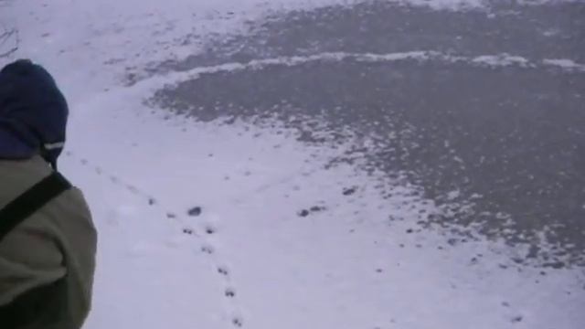 зима в латгалии смотреть онлайн