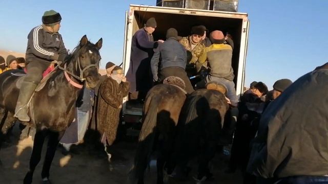 Samarqand Ishtixon Boytubeda Uloq Kupkari 2021y 9 Yanvar Oxir