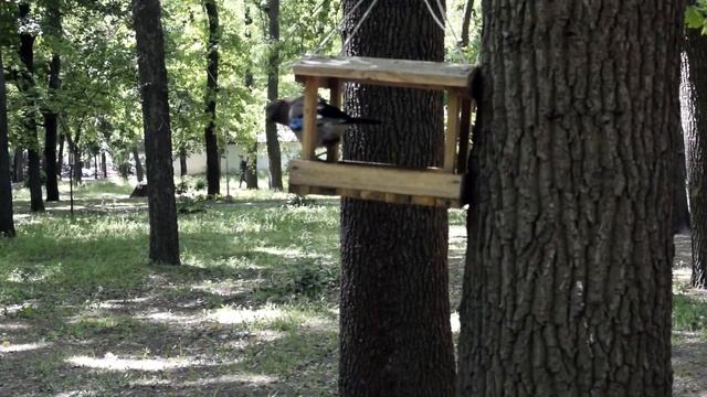 Мелитополь Парк 2018 смотреть онлайн