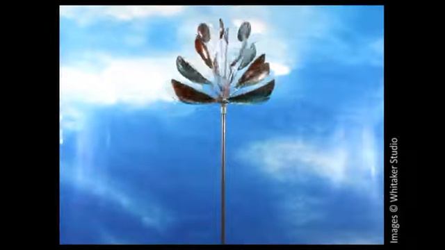 Agave смотреть онлайн