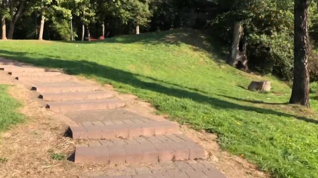 Утренние занятия в Лошицком парке в Минске смотреть онлайн