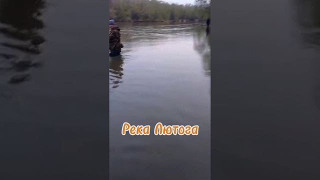 Первая сима #рыбалка #сима смотреть онлайн