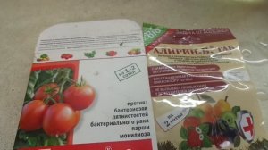 ФИТОФТОРА! КАК ПРИГОТОВИТЬ РАБОЧИЙ РАСТВОР АЛИРИН +ГАМАИР? Ольга Чернова.