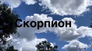 ? Скорпион ? Февраль 2024 … От Розанна Княжанская