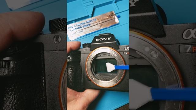 Sony 42mp sensor clean a7rii смотреть онлайн