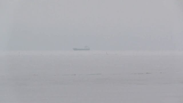 Невероятное оптическое увеличение видеокамеры смотреть онлайн