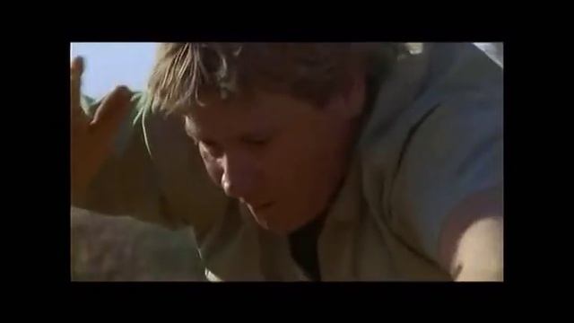 Steve Irwin Plays With Inland Taipan (Fierce Snake) смотреть онлайн