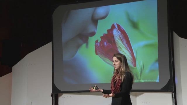 Learning styles & the importance of critical self-reflection | Tesia Marshik | TEDxUWLaCrosse смотреть онлайн