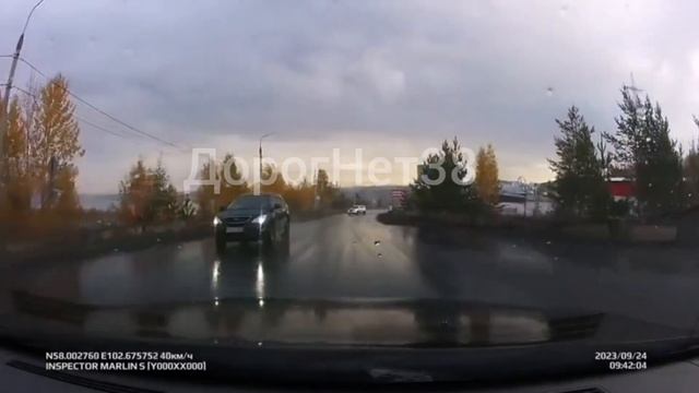 Сколько ещё таких бобров на дороге родного города? смотреть онлайн