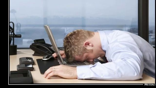 Shotcut-20240210-003238.mp4