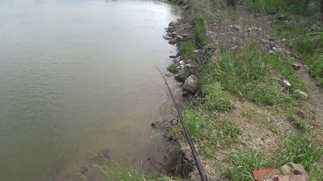 Ловля окуня с берега на каролинскую оснастку | Рыбалка с FishingSib 2018 смотреть онлайн