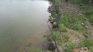 Ловля окуня с берега на каролинскую оснастку | Рыбалка с FishingSib 2018