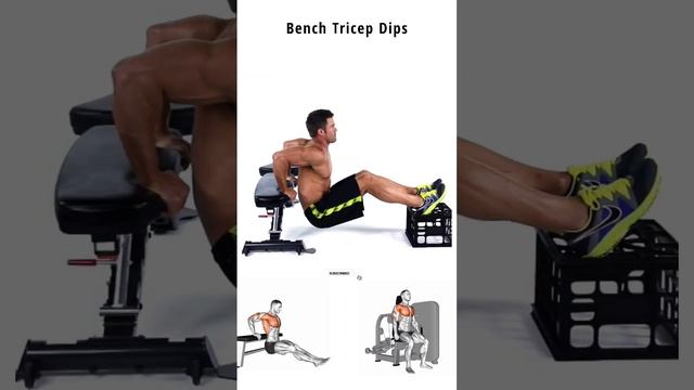 Bench tricep dips and variations смотреть онлайн
