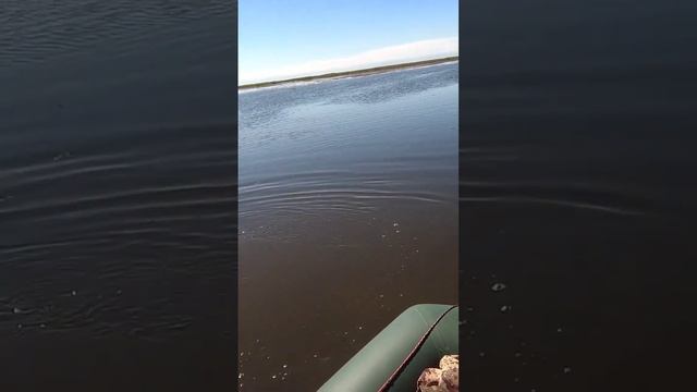 Крупная Амурская Щука! смотреть онлайн