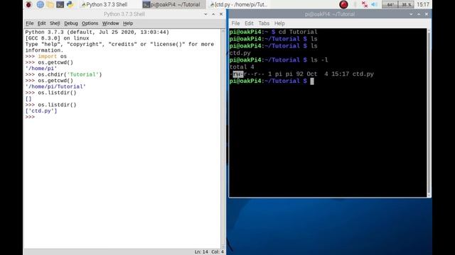 How to use os library in Python3 IDLE on your Raspberry Pi Raspbian, Raspberry Pi OS or Linux. смотреть онлайн