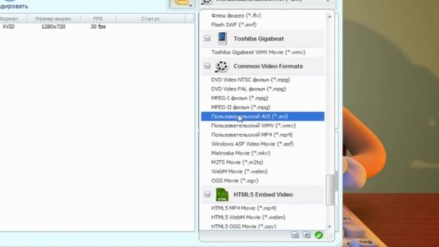 Как пользоваться программой Any DVD Converter Professional смотреть онлайн