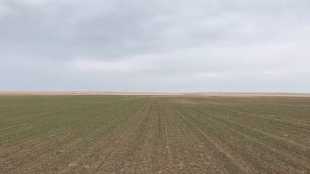 3 га смотреть онлайн