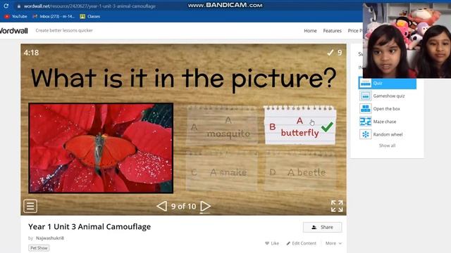 Quiz Day! WordWall - Animal Camouflage смотреть онлайн