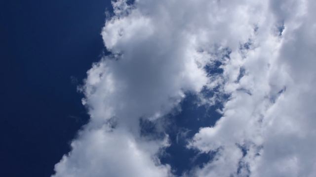 Евангелие дня. Успение Пресвятой Владычицы нашей Богородицы и Приснодевы Марии. (28.08.2020) смотреть онлайн