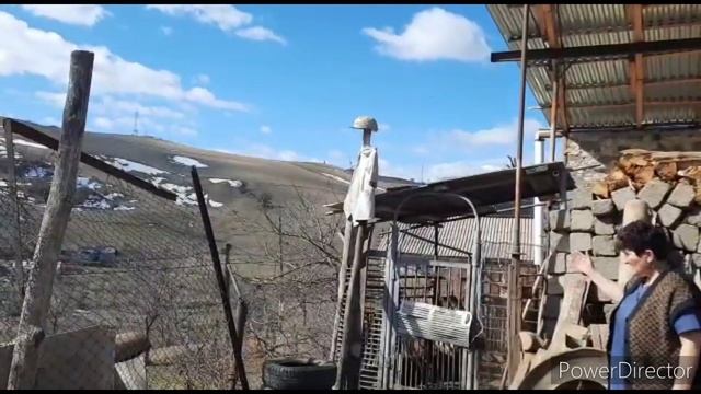 Փռան Հացի Համն ՈՒ Հոտը  Շամշադինում  Выпечённый Хлеб в Армянском Очаге