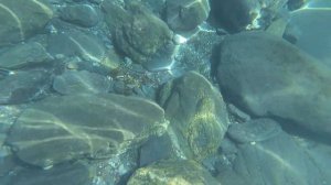 Прогулка по морскому дну