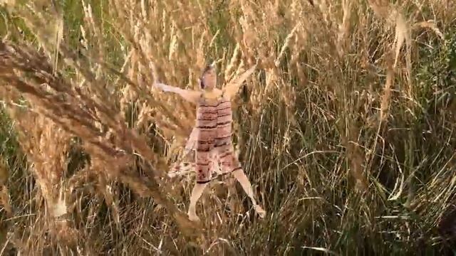 Танец - игра "Сильфиды" ( improvisation ). смотреть онлайн