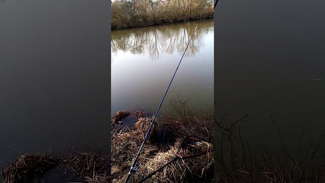 Рыбалка зимой на белую рыбу 23.02.2021 смотреть онлайн