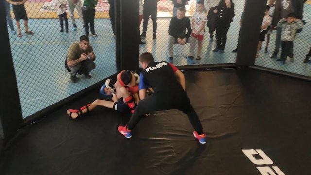 Dominator Extreme Fight 15 -23 смотреть онлайн